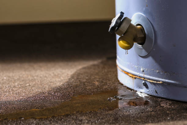 Best Sewage cleanup and water damage restoration  in Mason Neck, VA