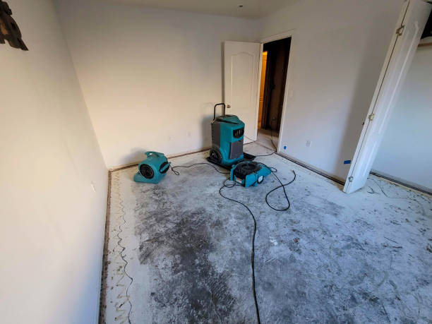  Mason Neck, VA Water damage restoration Pros