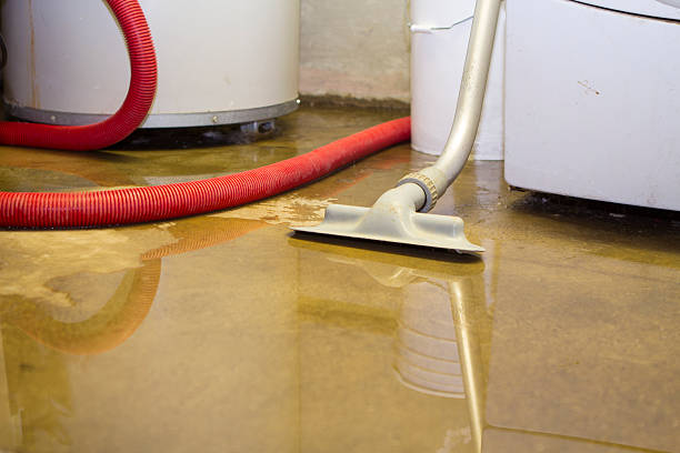 Water damage restoration insurance claims in VA