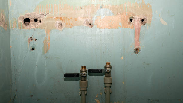 Best Residential water damage restoration  in Mason Neck, VA